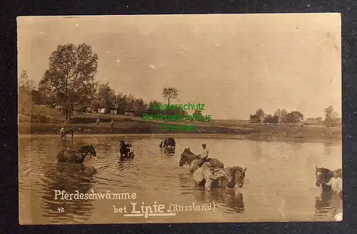 126663 AK Lipie Russland um 1918 Fotokarte Pferdeschwämme Militär Soldaten