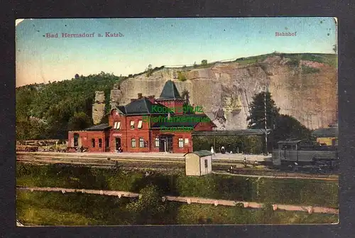 126613 AK Bad Hermsdorf an der Katzbach Bahnhof 1919