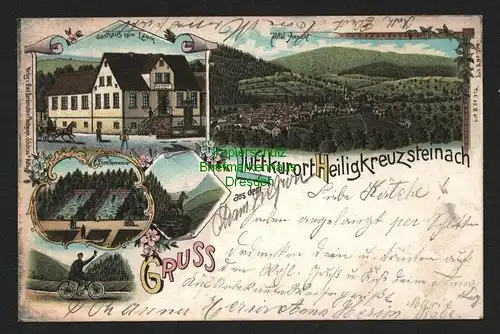 140154 AK Heiligkreuzsteinach Litho 1901 Gasthaus zum Lamm Forellenweiher