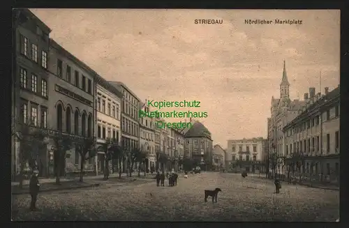 145186 AK Striegau Strzegom 1917 Nördlicher Markt Gasthaus zum schwarzen Lamm