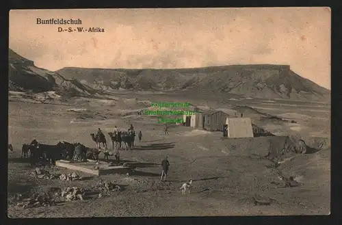 146766 AK Buntfeldschuh DSW Deutsch Südwestafrika 1911