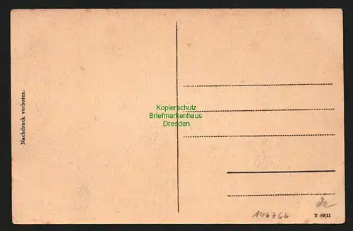 146766 AK Buntfeldschuh DSW Deutsch Südwestafrika 1911