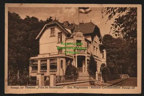 139901 AK Malente-Gremsmühlen Villa im Steinbusch Pension Dieck See Wald um 1925