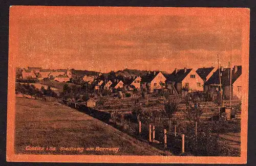 50642 AK Colditz Siedlung am Bornweg 1953