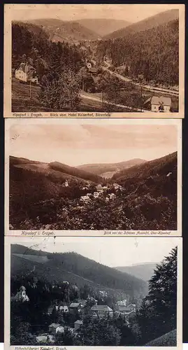 50603 3 AK Kipsdorf Blick v. Hotel Kaiserhof Bärenfels 1927