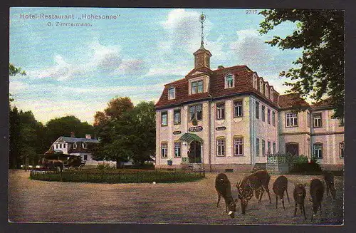 50266 AK Eisenach Hotel Restaurant Hohesonne um 1920