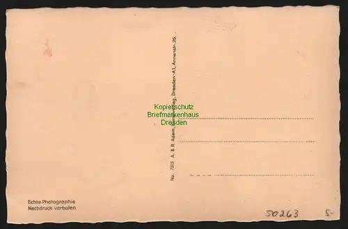 50263 AK Stadt Wehlen Pötzscha Sommerfrische a.d. Elbe um 1935