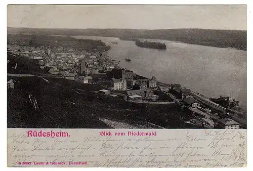 50185 AK Rüdesheim Blick v. Niederwald 1901