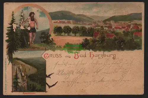 149993 AK Bad Harzburg 1901 Litho Rabenklippen