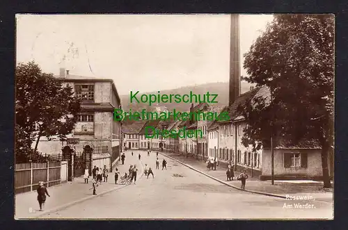 116995 AK Rosswein Roßwein Fotokarte 1925 Am Werder