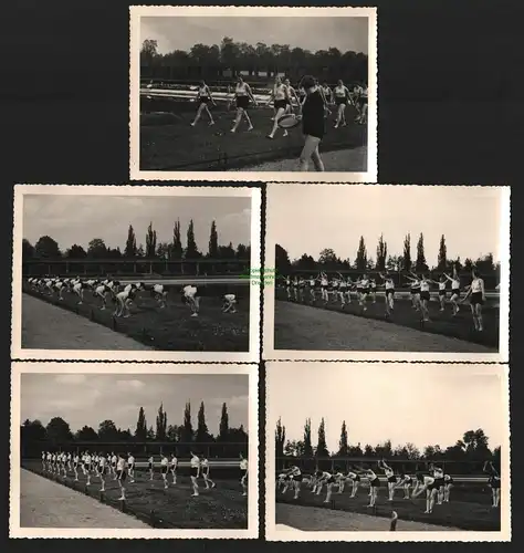 136801 5x Foto Schlesien 1935 BDM Sportfest Frauen im Sportdress Breslau