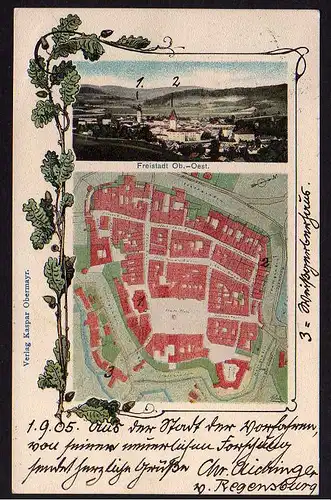 50931 AK Freistadt  Oberösterreich Stadtplan Eichenlaub 1905
