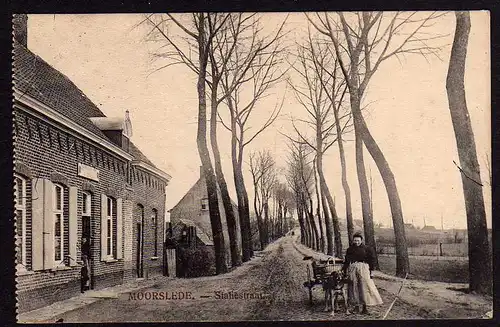 50503 AK Moorslede Statiestraat 1916 Roeselare Hund