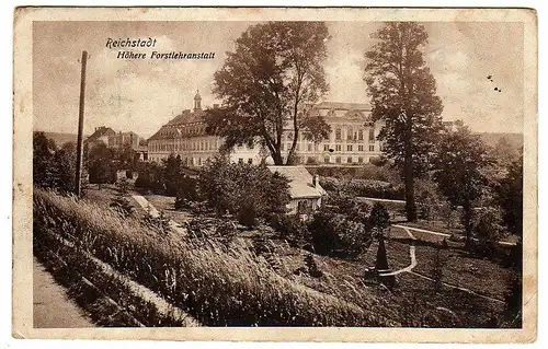 39548 AK Reichstadt Zakupy 1915 Höhere Forstlehranstalt