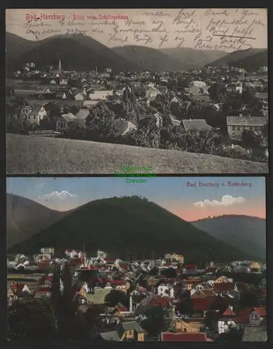 151391 2 AK Bad Harzburg Blick vom Schützenhaus 1919 Blick vom Butterberg