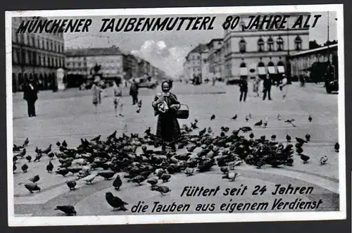 41108 AK München 1931 Münchner Taubenmutterl Tauben