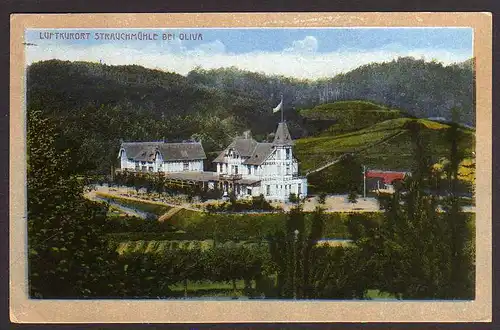 60697 AK Strauchmühle bei Oliva 1919 Wpr.