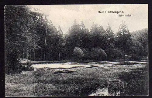 64988 AK Bad Grünenplan Hilsbornteich 1917