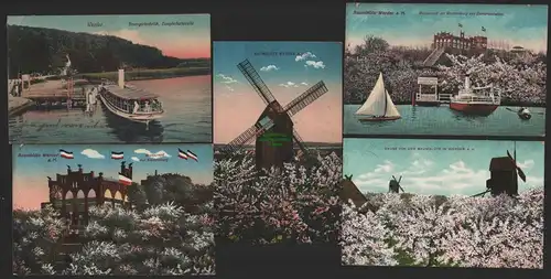 151565 5 AK Baumblüte Werder 1913 Restaurant zur Wachtelburg Windmühle Mole