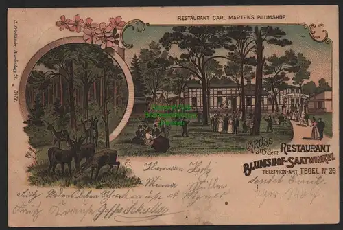 151708 AK Litho Berlin Tegel Restaurant Blumshof Saatwinkel 1901 Carl Martens