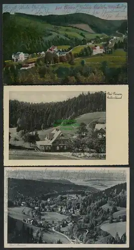 139681 3 AK Bad Reinerz Duszniki-Zdroj 1929 1933 Grillenhäusel