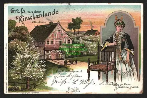 143915 AK Litho Gruss aus dem Kirschenlande Altenlande Kirschblüte Altl. Braut