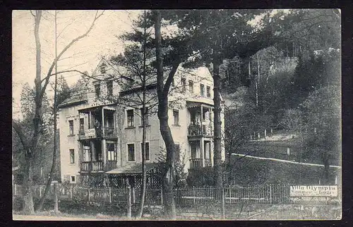 91890 AK Schandau Ostrau Villa Olympia um 1910