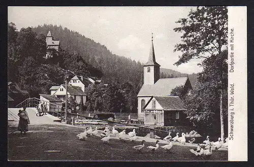 92088 AK Schwarzburg i. Thür. Wald Dorfpartie mit Kirche um 1910