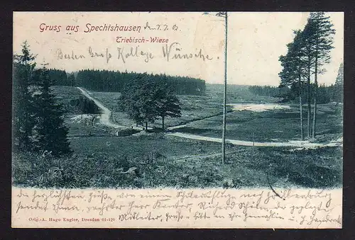 92167 AK Spechtshausen Triebisch Wiese 1902 Weg See Brücke Hintergersdorf 1902