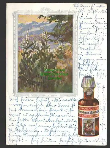 141367 AK Veratrum Album Werbung Dr. Madaus  Co. 1933 Weiße Nieswurz Alterode