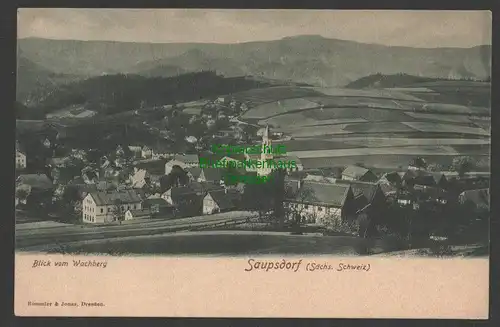 141501 AK Saupsdorf Sächsische Schweiz Blick vom Wachberg 1907