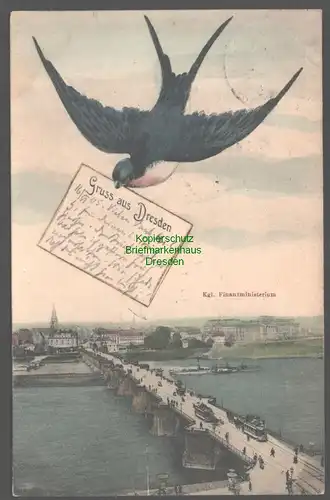 152272 AK Dresden 1906 Kgl. Finanzministerium Schwalbe Elbe  Augustusbrücke