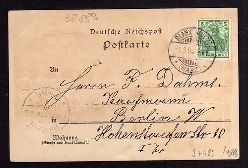 97789 AK Litho Blankenburg Harz 1904 Hotel u. Pension Heidelberg Depandance