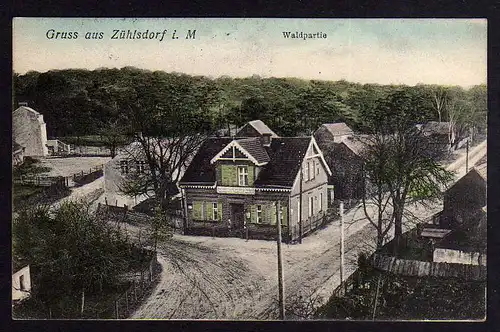 79897 AK Zühlsdorf Materialwarenhandlung Opitz Waldpartie 1913 Basdorf