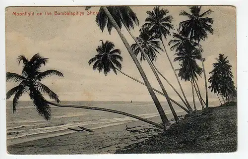 39514 AK Sri Lanka Ceylon um 1905 Moonlight on the Bambalapitiya Shore