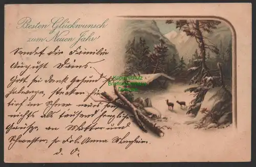 154264 AK Radeburg 1899 Besten Glückwunsch zum Neuen Jahr Litho Rehe im Winter