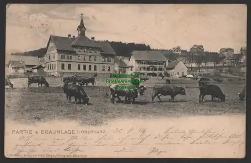 154237 AK Braunlage Oberharz 1906