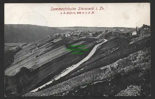 154159 AK Sommerfrische Steinheid in Thür. A. d. Kieferle 1927