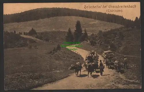 154154 AK Reischeltal bei Grossbreitenbach Thüringen um 1910