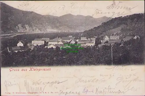 155784 AK Kleinpriesen 1900 Panorama Male Brezno nad Labem