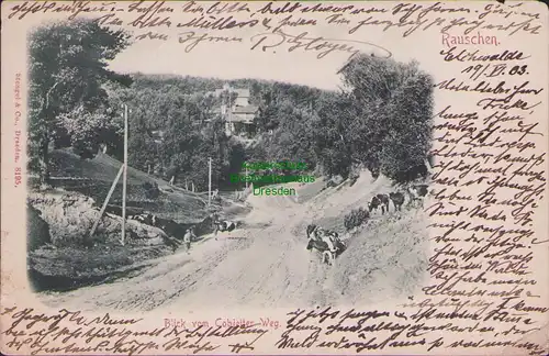 156404 AK Swetlogorsk Rauschen Ostpreußen 1903 Blick vom Cobjeiter Weg