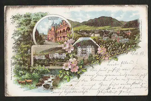 20518 AK Litho Görbersdorf Heilanstalt Sanatorium Bahnpost Salzbrunn Halbstadt