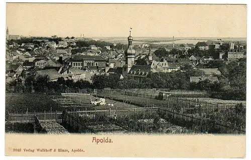 20253 AK Apolda Panorama um 1910