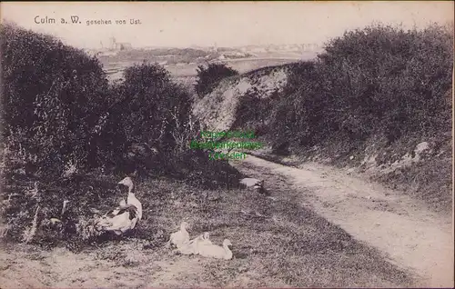156329 AK Culm a. W. Chelmno gesehen von Ust. Bahnpost Culm - Korkatowo 1917