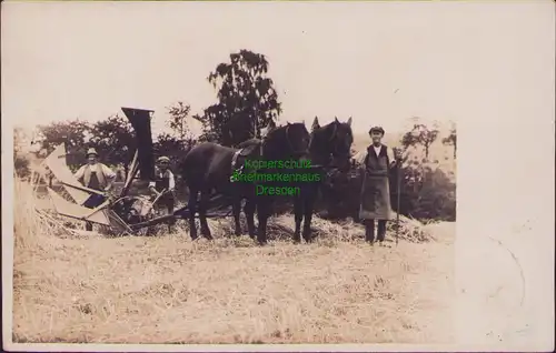156373 AK Großsermuth Grimma Land 1931 Fotokarte Bauern bei der Ernte Pferde