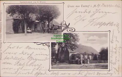 156247 AK Tesdorf i. M. bei Zarrentin 1907 Gastwirtschaft C. Wohler Forsthaus