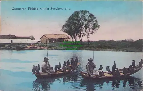 156238 AK Schanghai Shanghai China um 1908 Comoran Fishing within Soochow city