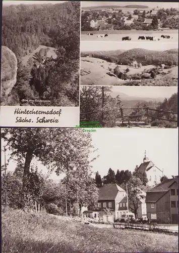 152886 2 AK Hinterhermsdorf Sächsische Schweiz 1972 Blick vom Taubenstein