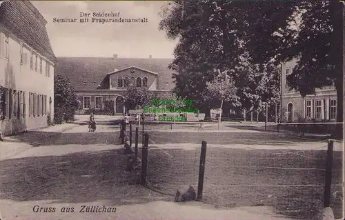 156032 AK Sulechow Züllichau um 1910 Der Seidenhof Seminar m Präparandenanstalt