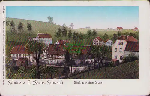 152890 AK Schöna a. d. Elbe Sächsische Schweiz um 1905 Blick nach dem Grund